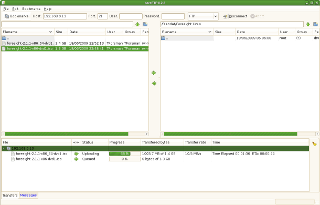 bareFTP screenshot Ubuntu